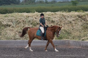 ISIS Dressage Challenge 2008